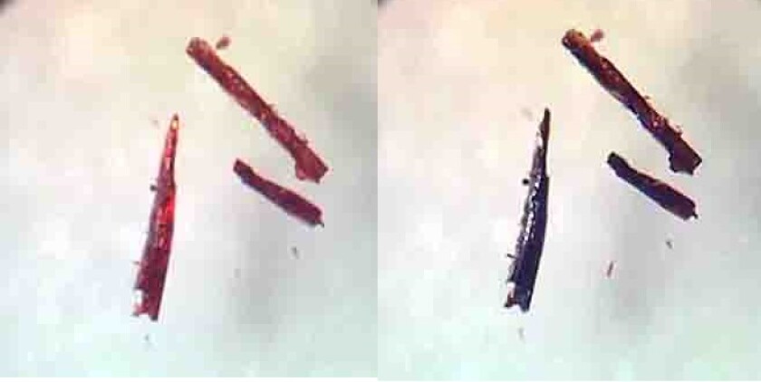 The crystalline material changes color when absorbing or releasing oxygen: black when saturated, pink when oxygen released (Photo: University of Denmark)