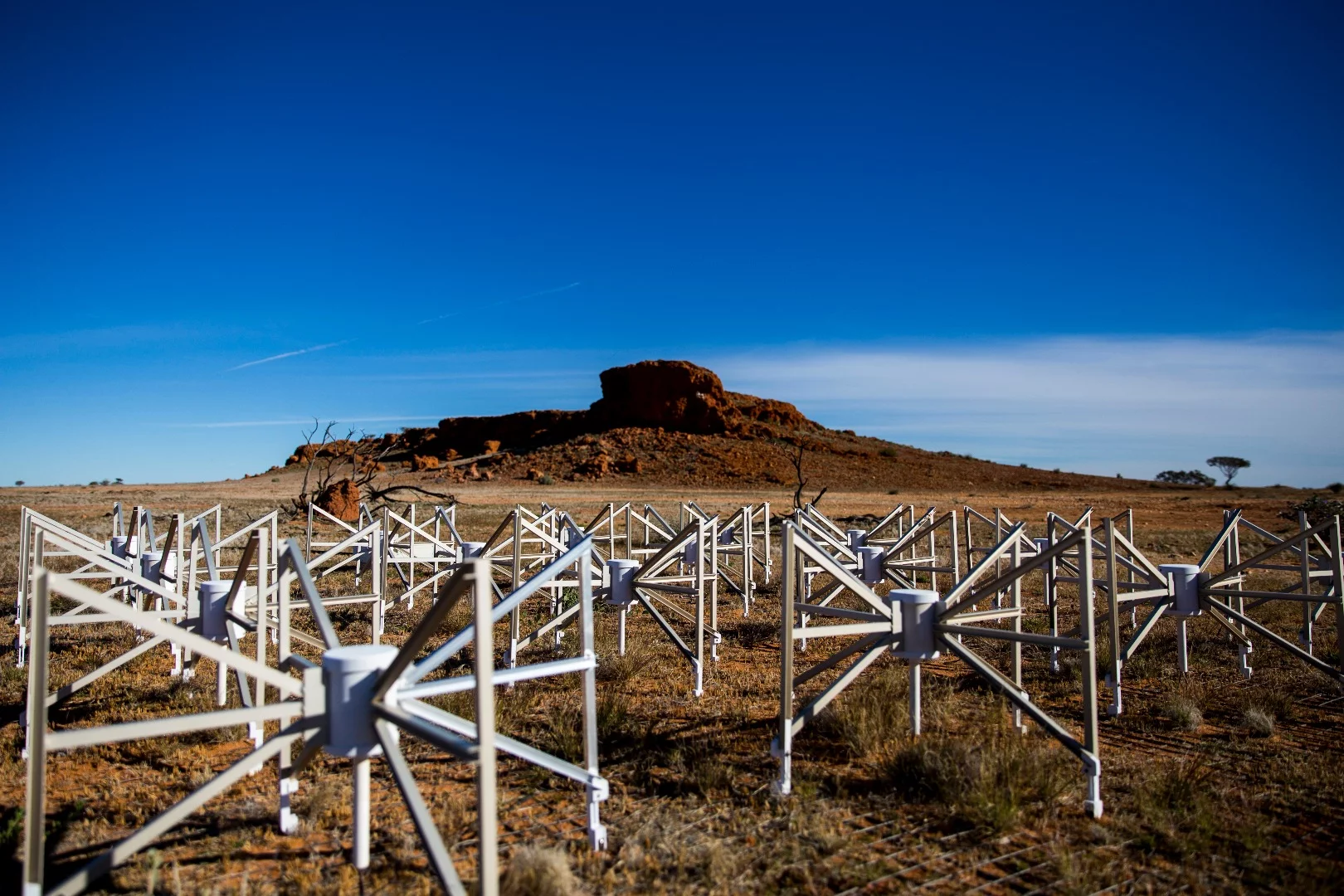 Murchison Widefield Array antennas
