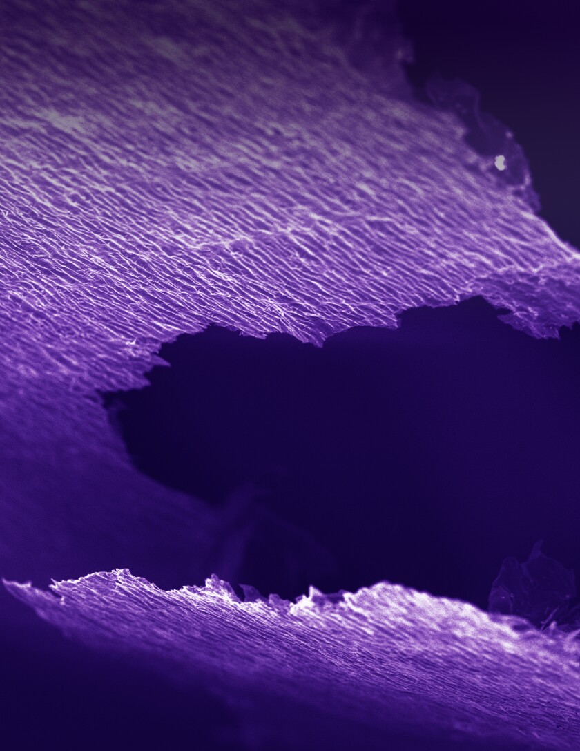MXene under an electron microscope (Photo: Drexel University)