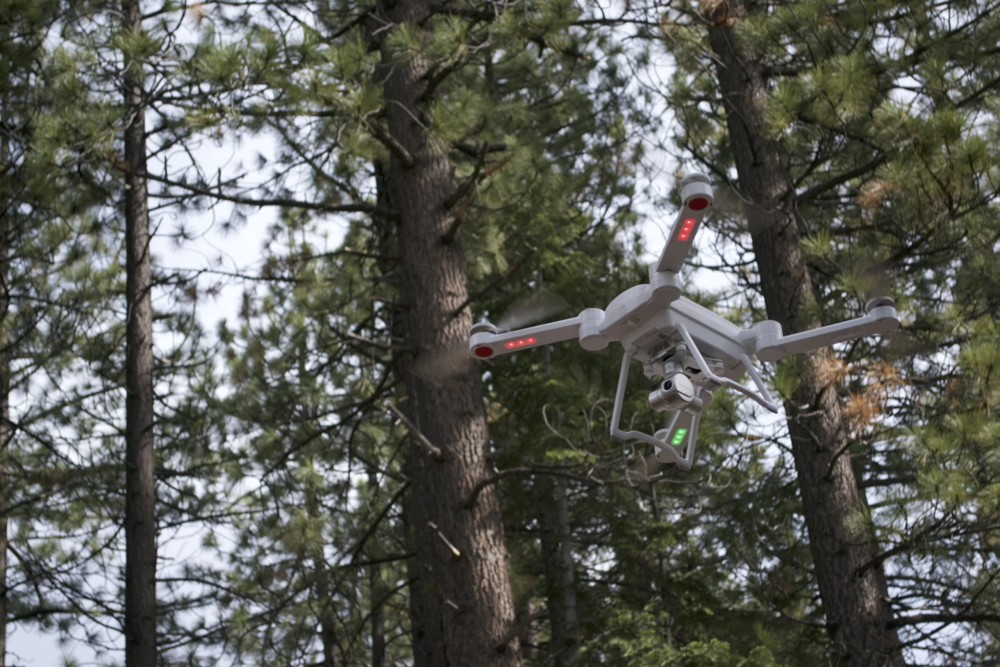The ProDrone Byrd Standard in flight