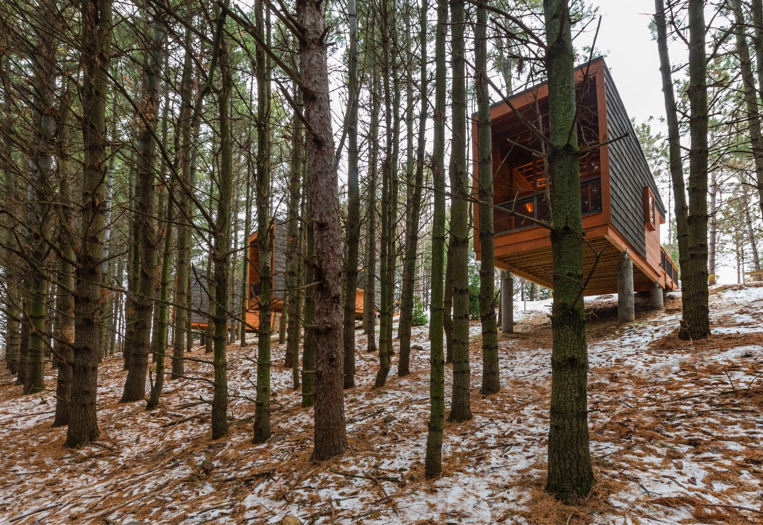The Whitetail Woods Regional Park Camper Cabins by HGA Architects and Engineers won the Beauty of Wood – Craft award