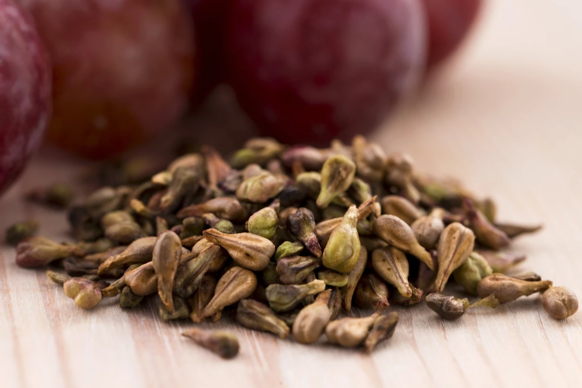 A compound derived from grape seeds has shown anti-aging potential in new research on mice