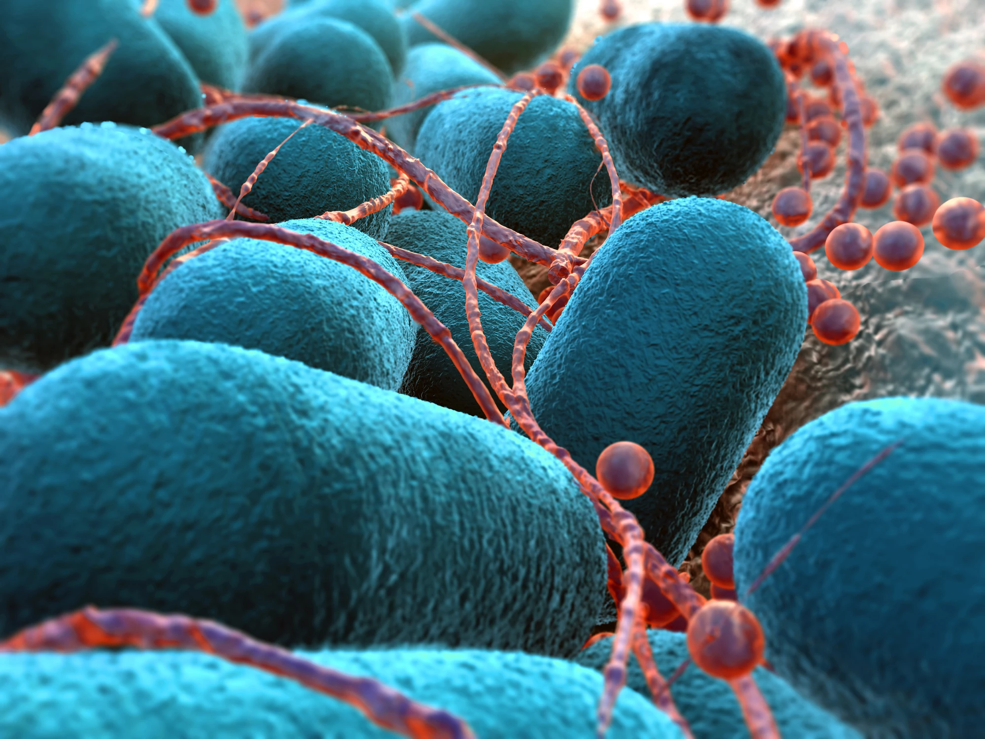 Researchers have evolved E. coli bacteria to eat carbon dioxide from the air