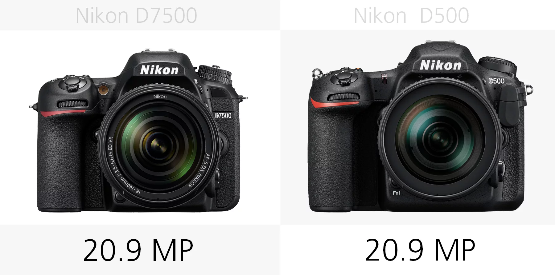 The megapixel count of the Nikon D7500 and Nikon D500 compared