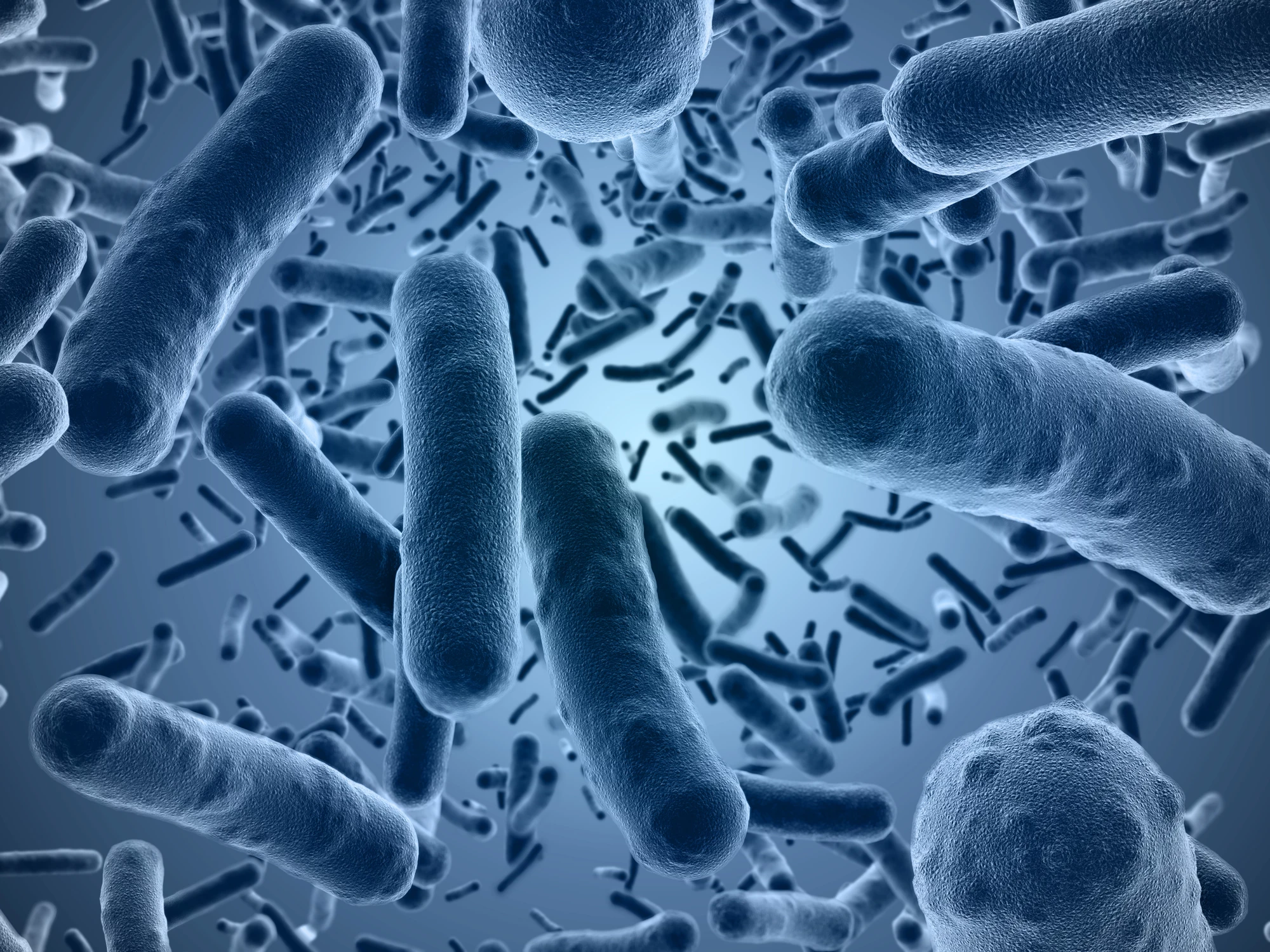 Researchers have found that an antivitamin version of Vitamin B1 could be an effective new way to kill antibiotic-resistant bacteria