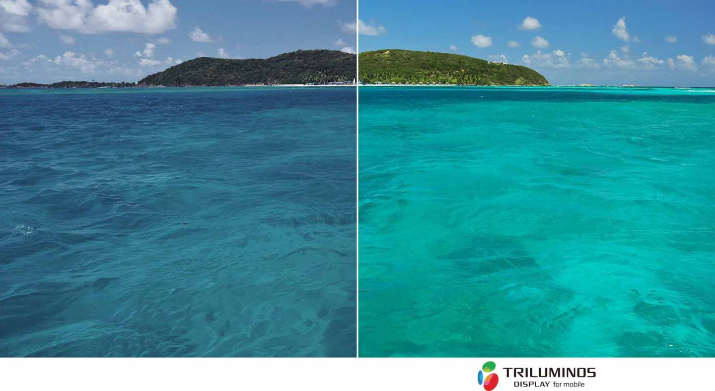 The Triluminos IPS display comes with Live Colour LED and the X-Reality for mobile engine for a much-improved viewing experience in any light conditions