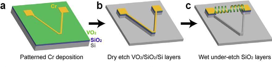 The team, working with a silicone substrate, formed a V-shaped ribbon comprising chromium and vanadium dioxide, which formed a coil when released from the substrate (Image: Berkeley Lab)