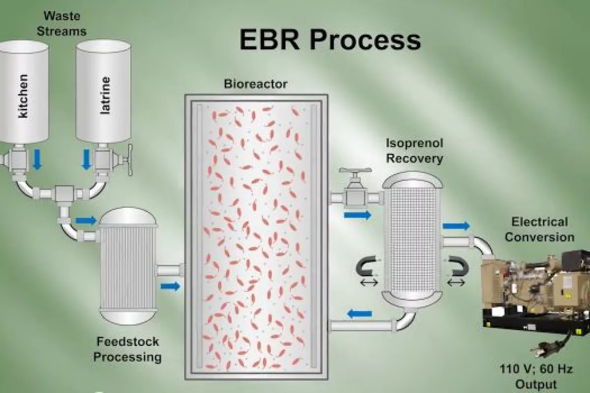 A diagram of the process utilized by the Endurance Bioenergy Reactor