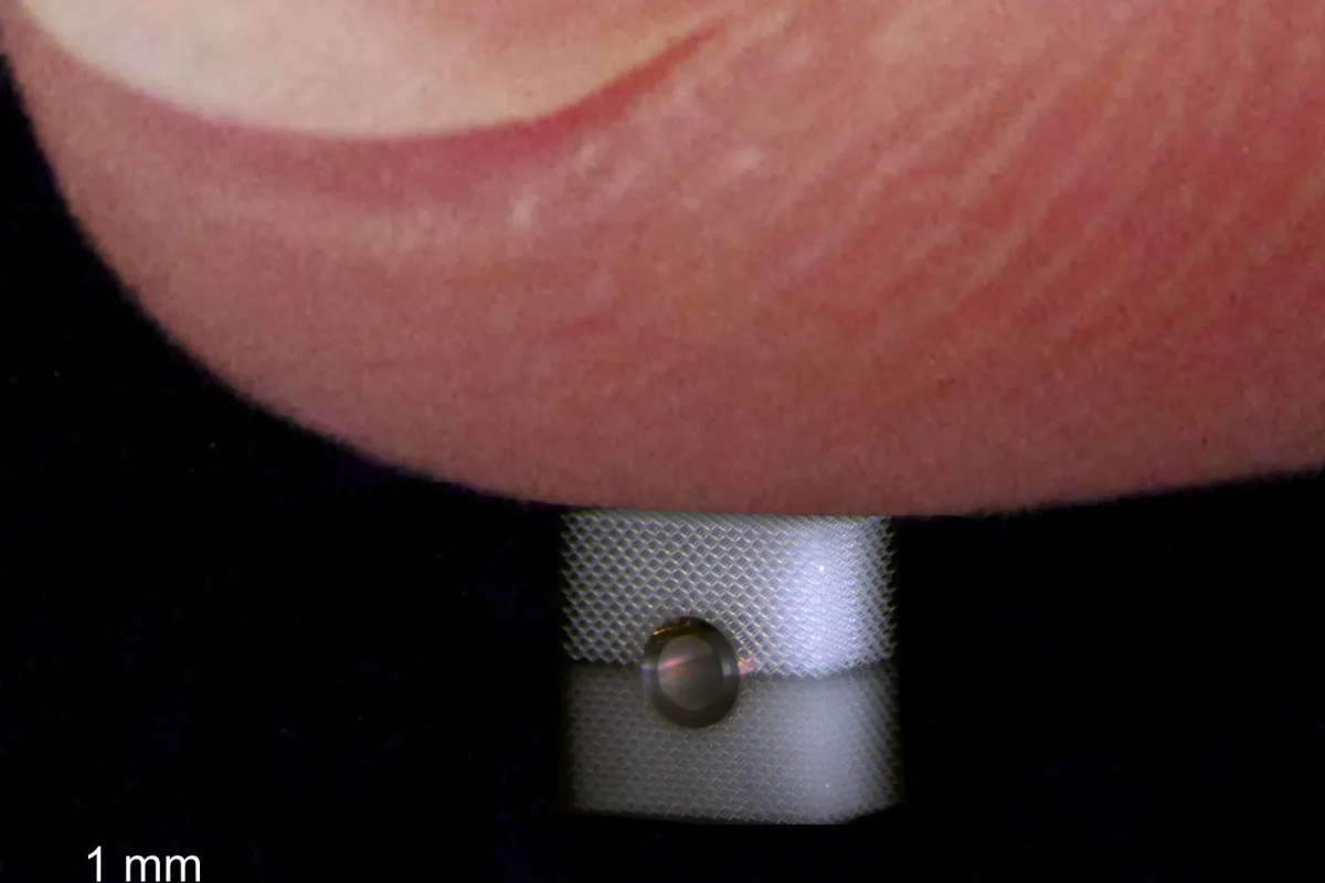 It's now possible to hide an object from being felt, thanks to research by scientists at Karlsruhe Institute of Technology (Photo: T Bückmann / KIT)