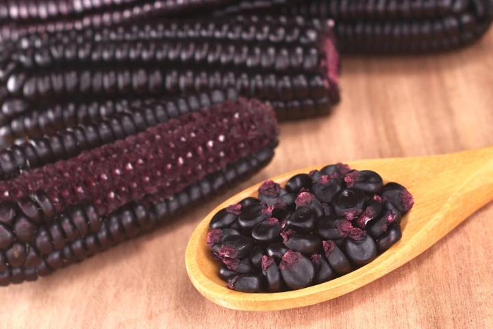 Purple corn could soon find its way into cream cheese and other tasty treats