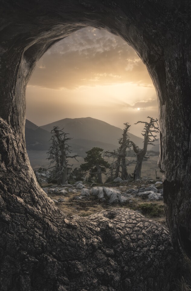 Top 100. Framed Nature. Pollino National Park, Basilicata, Italy