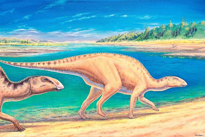 An illustration of the new dinosaur, a master of migration