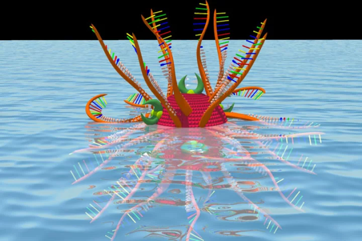 The nanoparticle developed by University of Florida researchers attacked the mechanism of hepatitis C virus replication (Image: University of Florida)