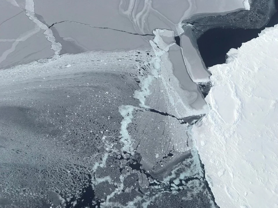 Newly formed sea ice next to a snow-covered sea ice floe in the Weddell Sea