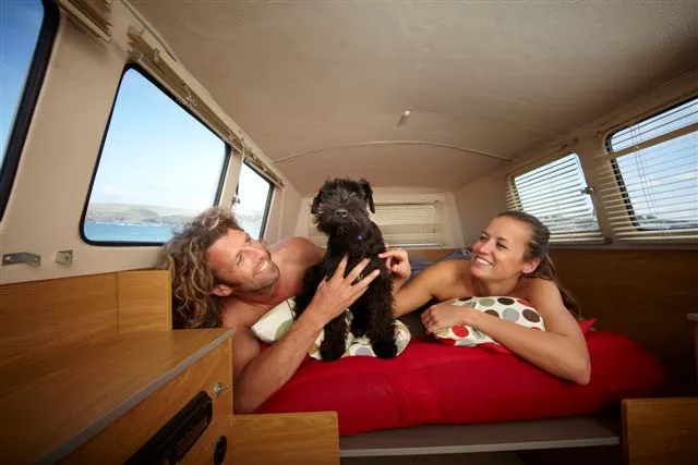 Small (not necessarily large) dogs welcome