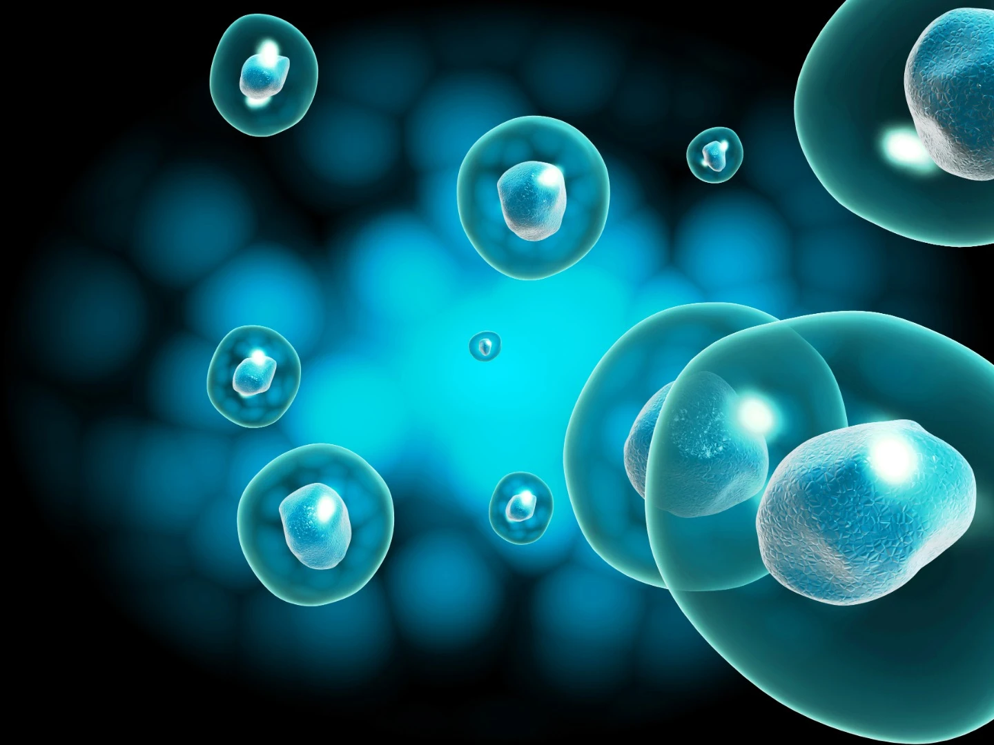 Discovered in 2006, induced pluripotent stem cells can be coaxed into any kind of cell in the human body