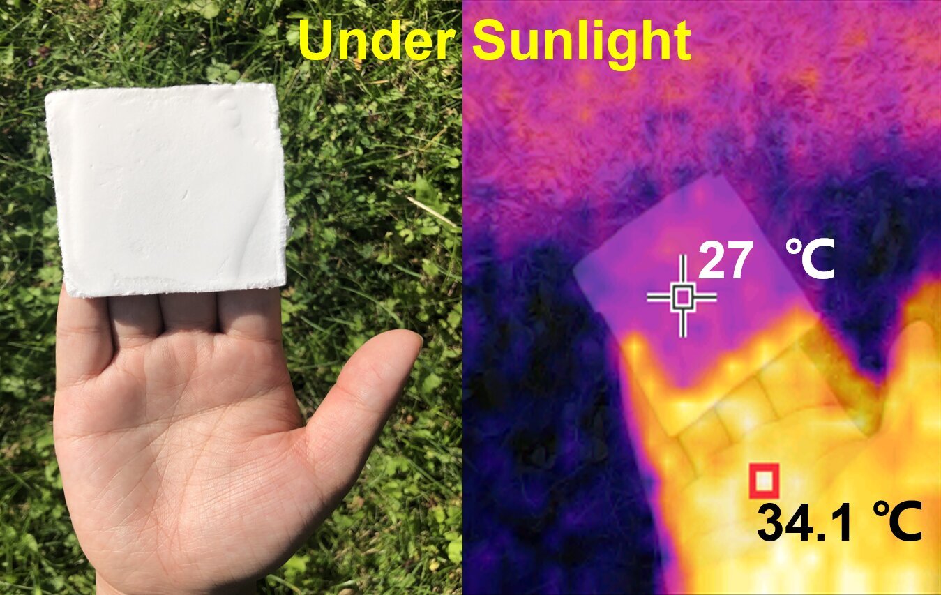 Wood-based foam passively cools buildings to cut energy bills