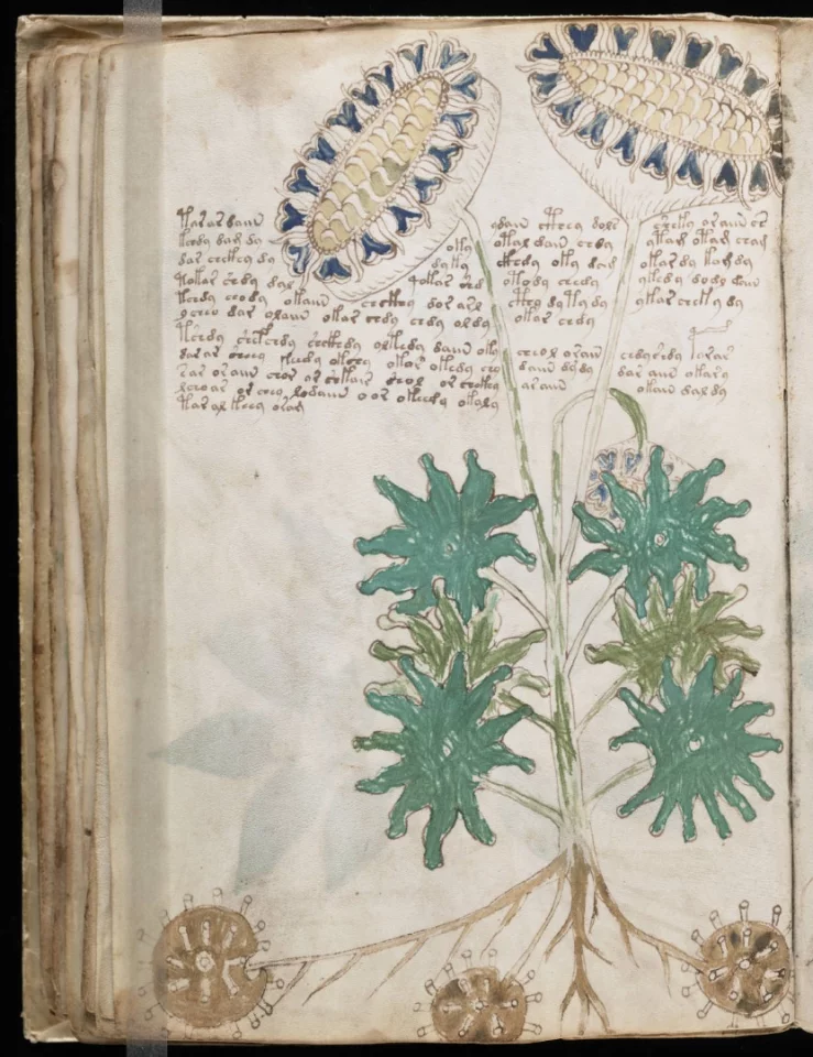 A page from the mysterious Voynich manuscript