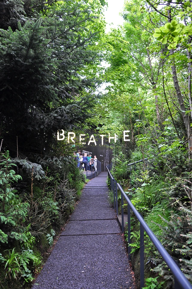 The Austrian Pavilion gives visitors the opportunity to enjoy a breathe of fresh air