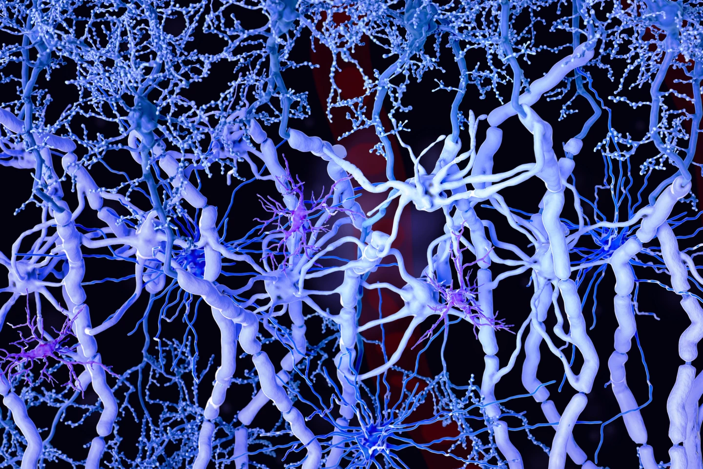 White matter is deeper brain tissue made up on millions of myelinated nerve fiber bundles