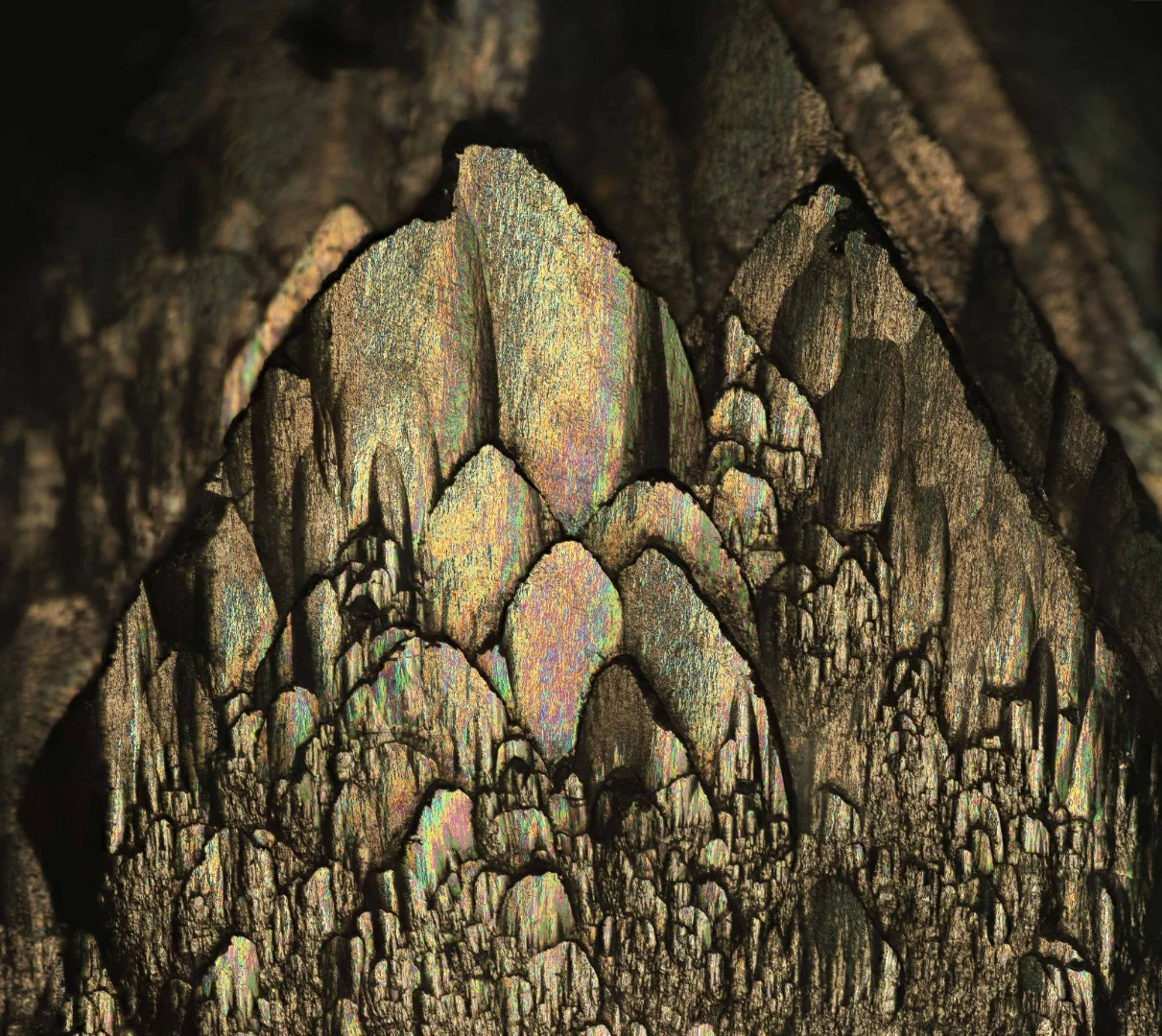 Image of Distinction: Pristine layered crystal faces of smithsonite