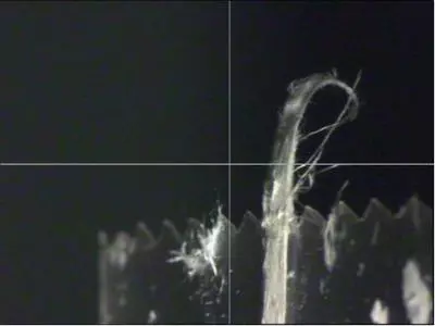 Microscope image of a single sepiolite fiber (Photo: ESRF)