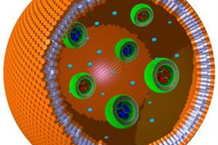 Researchers at the Institute for Molecules and Materials at Radboud University Nijmegen used a water droplet as the structure upon which they built the first polymer cell