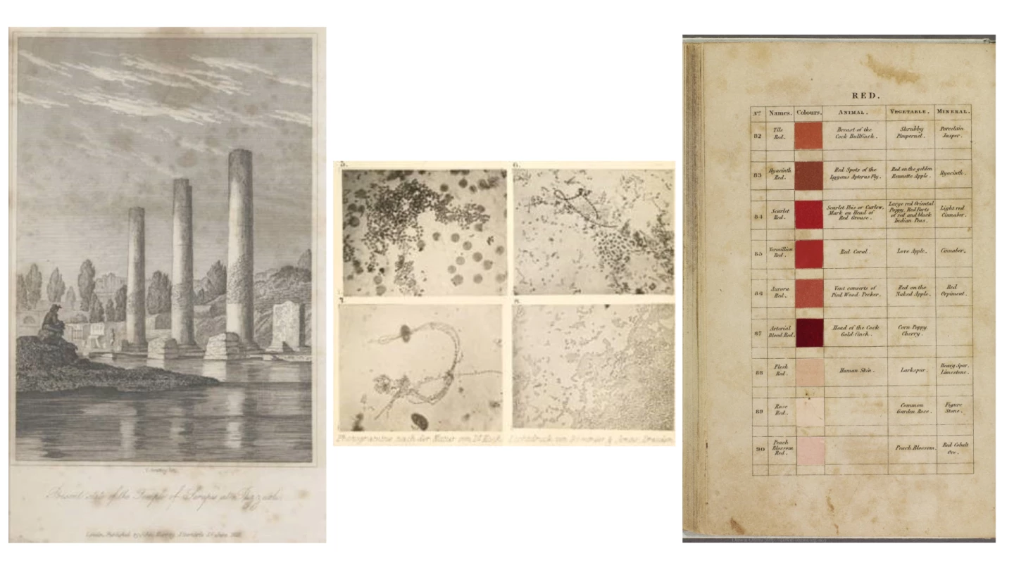 Influential texts (from left): Principles of Geology, by Charles Lyell, which inspired Darwin to explain how species change over time; a German scientific periodical from 1877 with the first published photos of bacteria; Werner’s Nomenclature of Colours by Patrick Syme