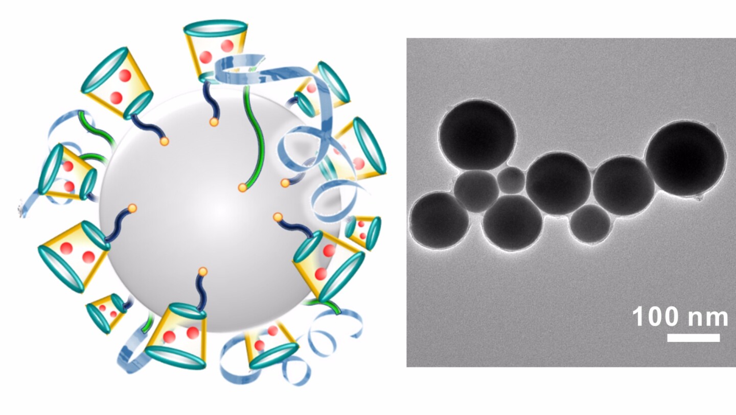 On left is a schematic illustration of liquid-metal ‘nano-terminators.’ The red spheres are Dox. At right is a representative TEM (Transmission electron microscopy) image of liquid-metal nano-terminators.