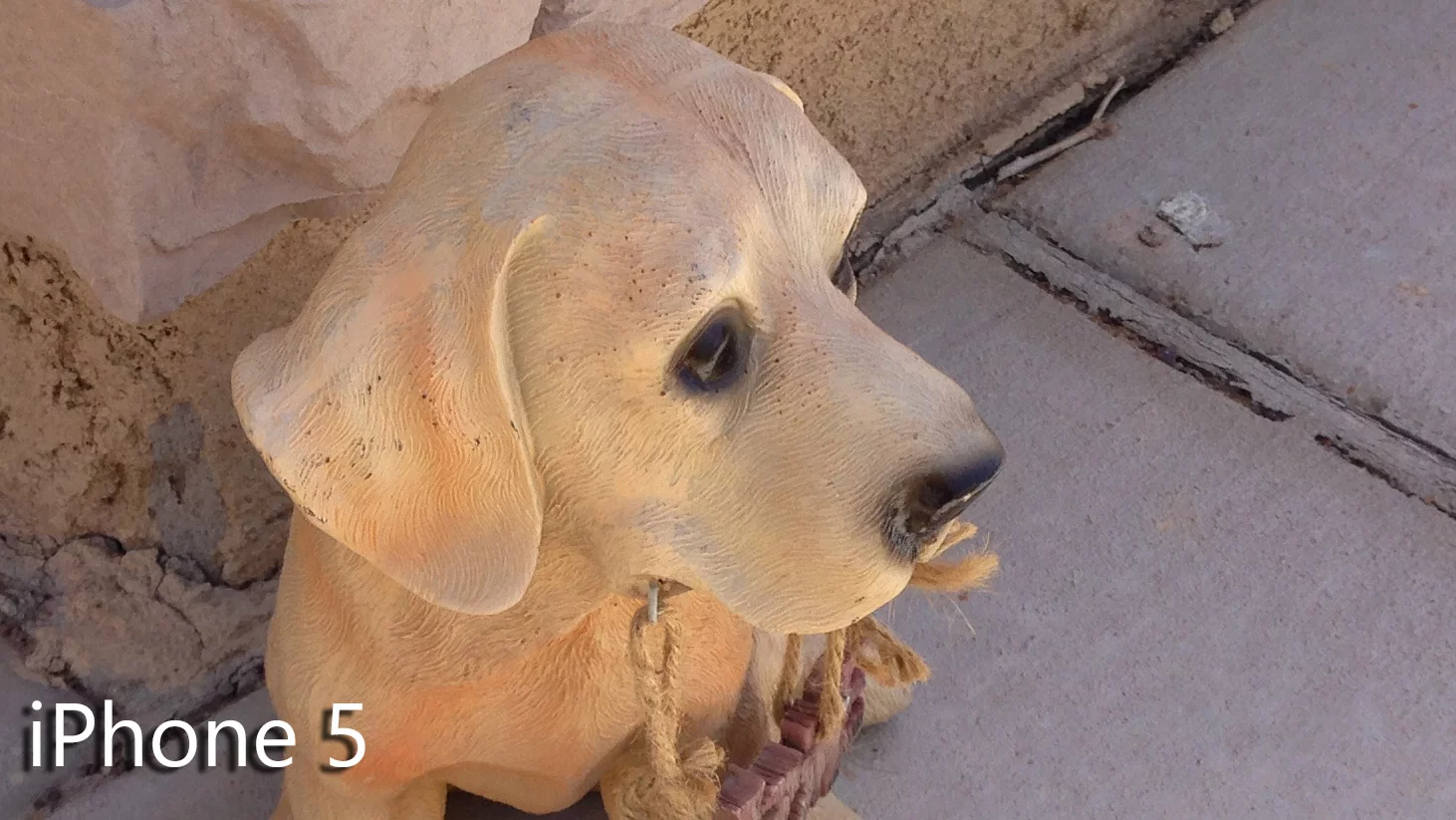 Crop of shaded outdoor shot taken with the iPhone 5