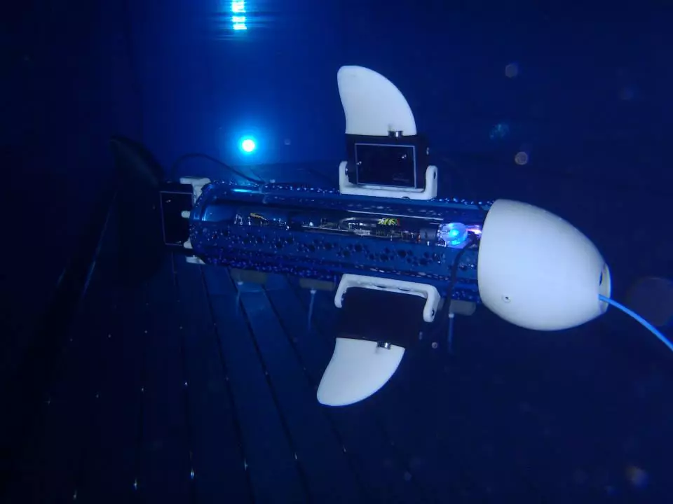 The naro-nanin robot can be customized with different fins by connecting them to the aluminum frame on its body (photo: naro - nautical robots)