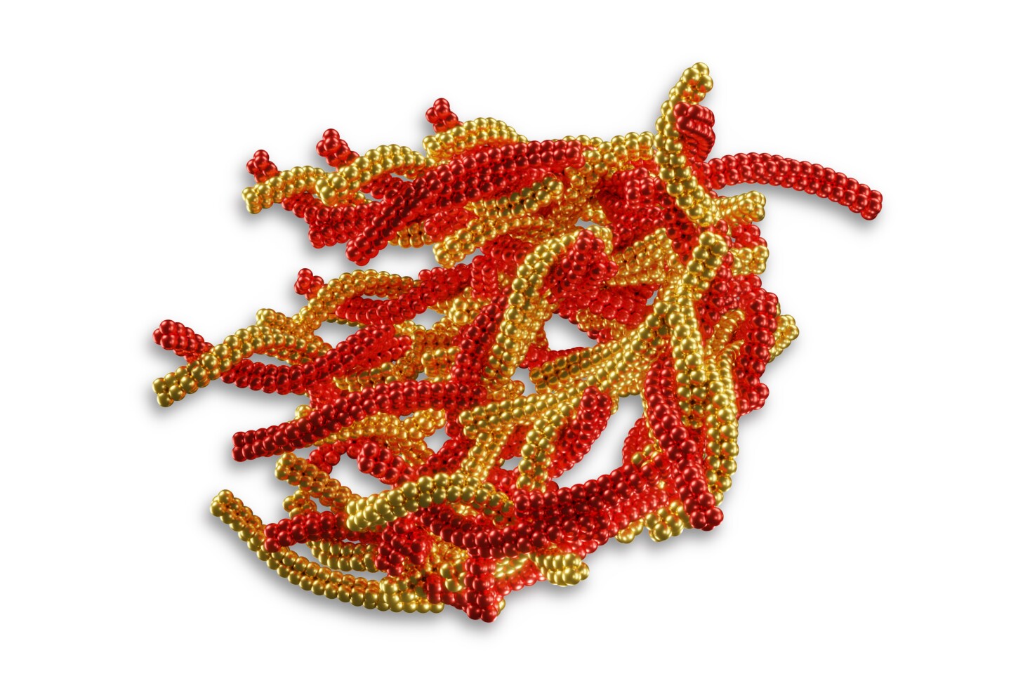 In Alzheimer's disease, protein fibrils in the brain form plaques. The accumulation of such tangles leads to the death of nerve cells and a loss of cognitive performance