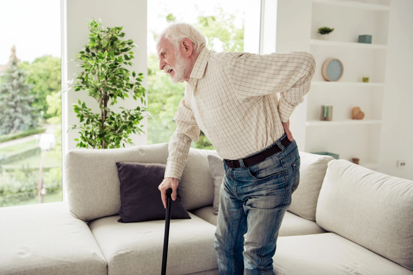 The study's findings could lead to a new class of osteoporosis treatments