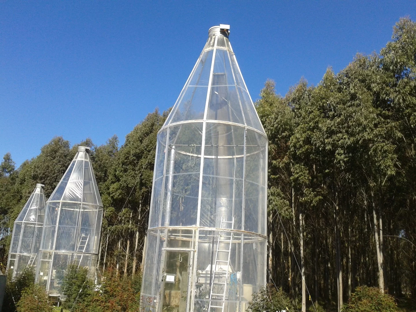 These chambers allow researchers a better understanding of how plants adjust to altered climate conditions