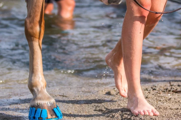 The shock-absorbing Megasus Horserunner weighs less than half a pound