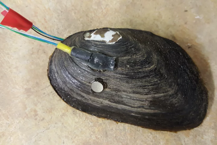 Each sensor is made up of two linked IMUs – one on either side of the shell