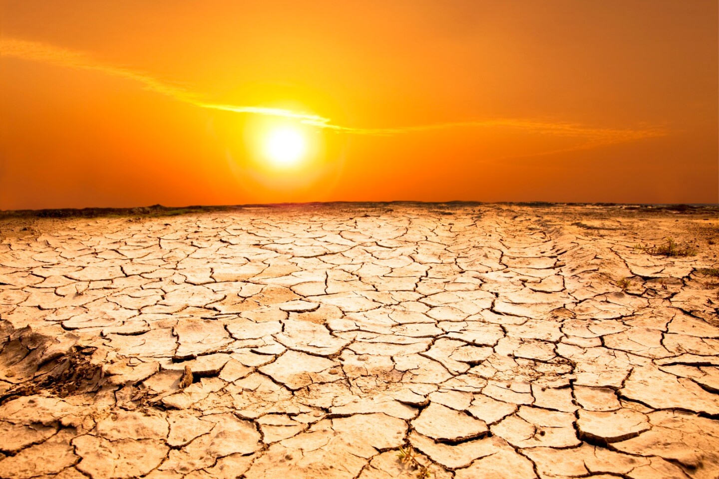 July 2019 was the hottest month on record, says new report