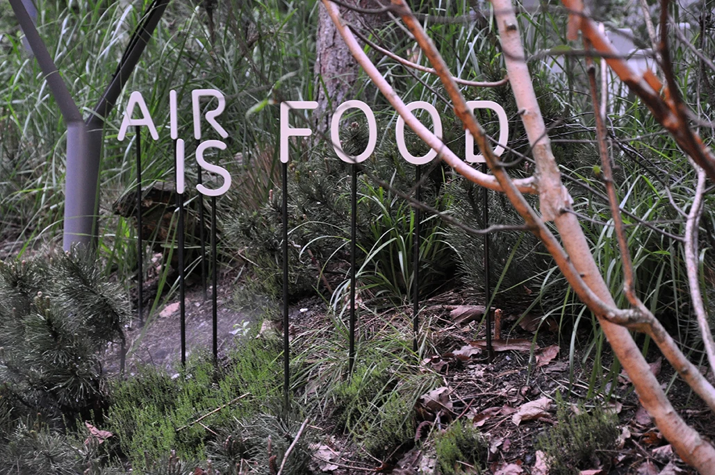The Austrian Pavilion is actually a lush outdoor forest