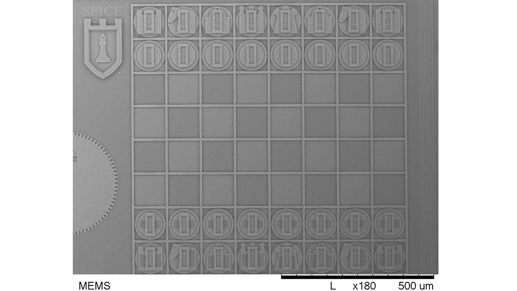 The teeny tiny chessboard designed by the Texas Tech team for Sandia Lab's annual MEMS student design competition features chess pieces half the width of a human hair