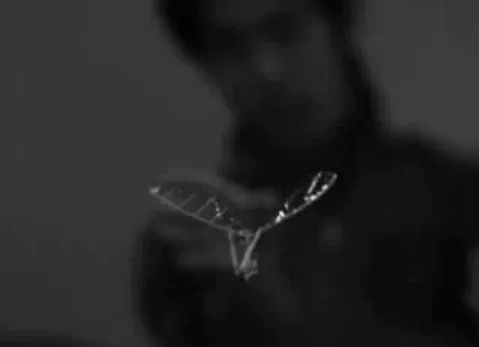 A still from the just-released video of the ornithopter in action