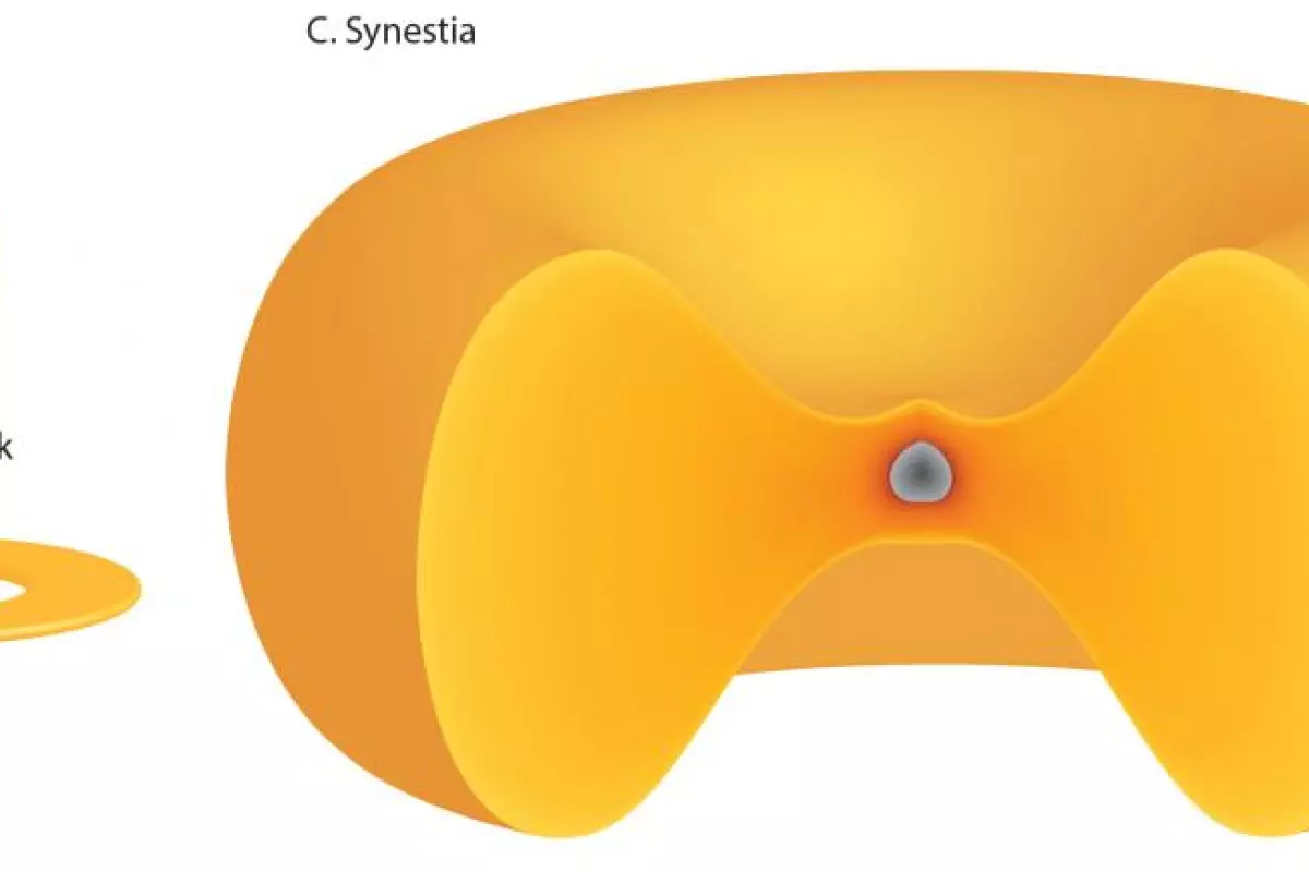 The synestia is formed by the collision of two similar sized planets