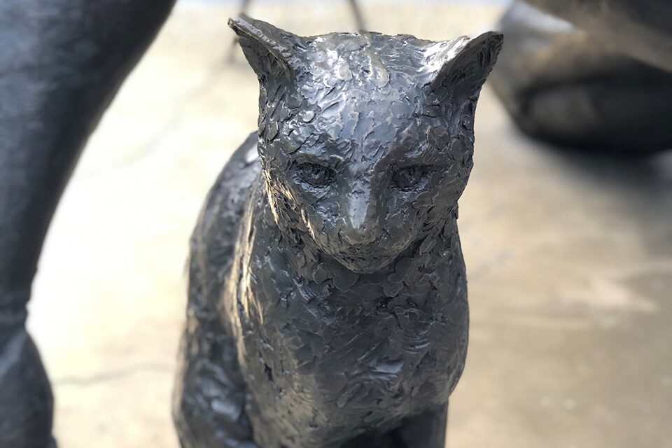 Statue of Trim the cat who accompanied Captain Flinders on his voyages