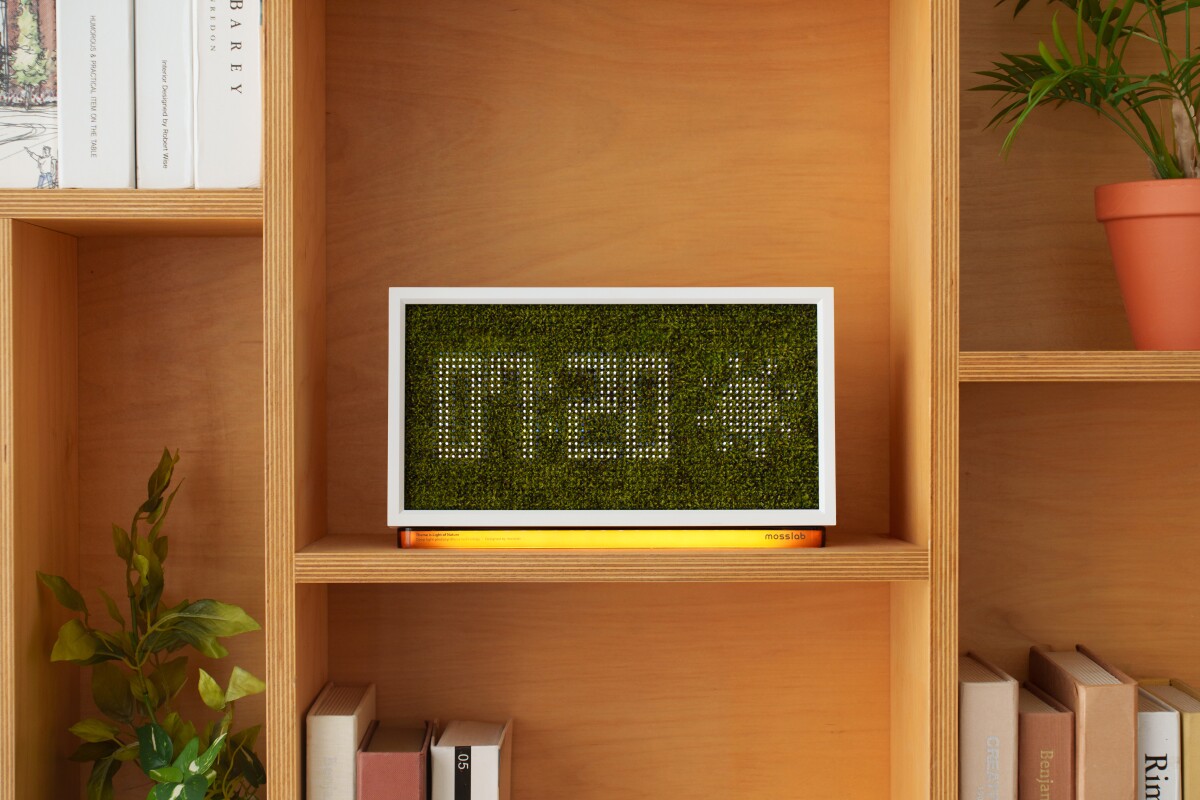 Moss Echo는 어떤 방에도 잘 어울리는 작품입니다.<BR>