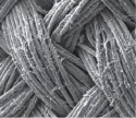 These nanowires are loaded with silver-TCNQ, an antibacterial material discovered by the RMIT research team