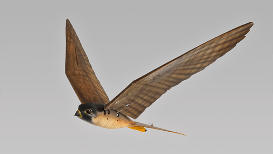 Robird flies by flapping its wings in a manner similar to that by which a real falcon flies