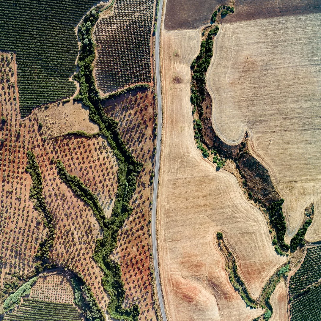 Traces of disappeared rivers in Cantillana, Spain
