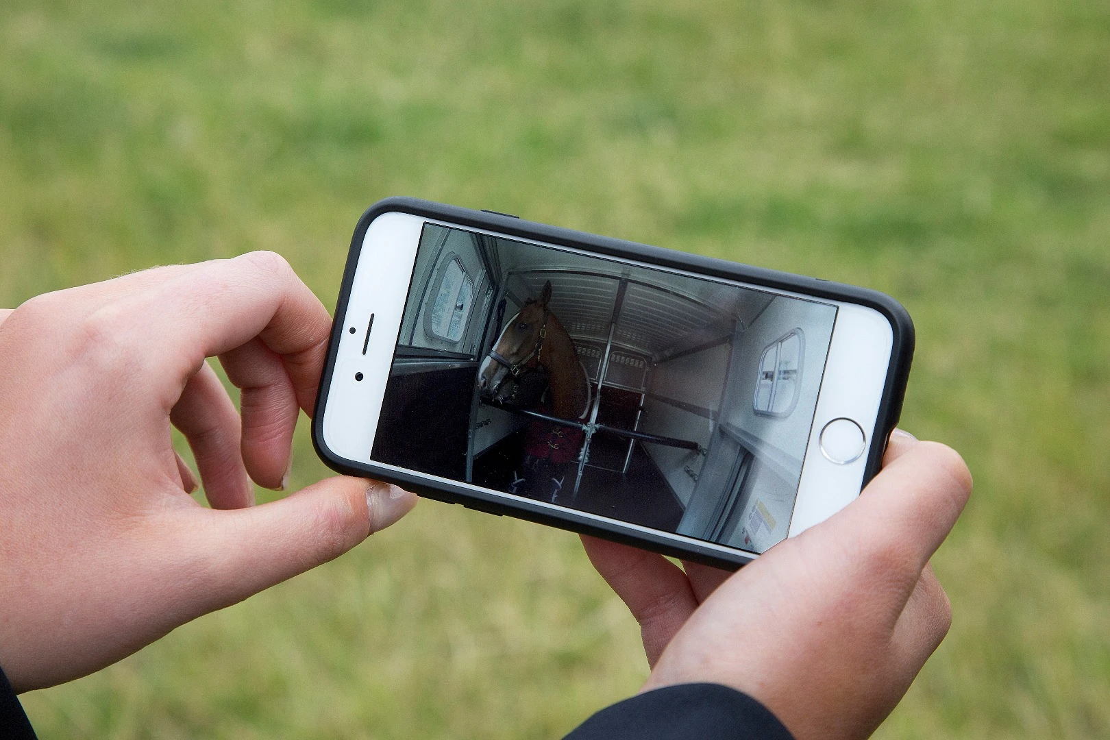 Cargo Sense allows the driver to keep tabs on horse boxes and other cargos