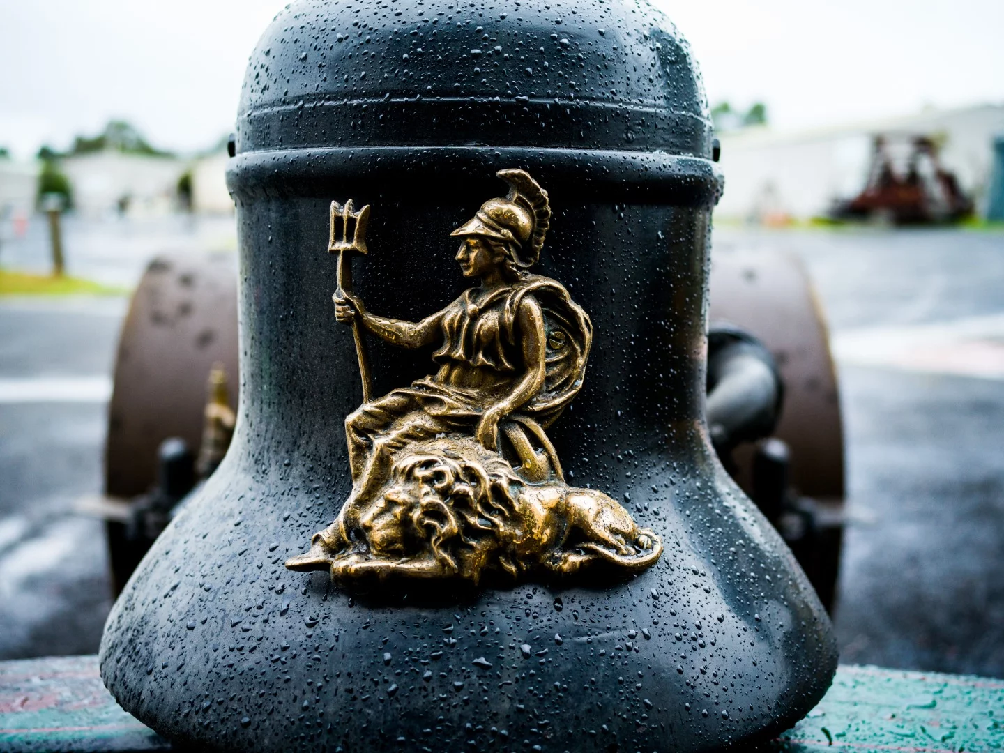 X1D sample shot: ISO 1600, 45mm, f/3.5, 1/2000 sec (download full size)