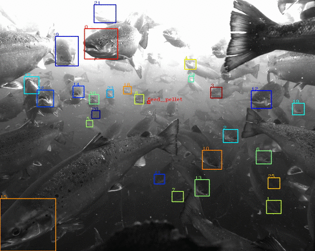Tidal’s machine perception system