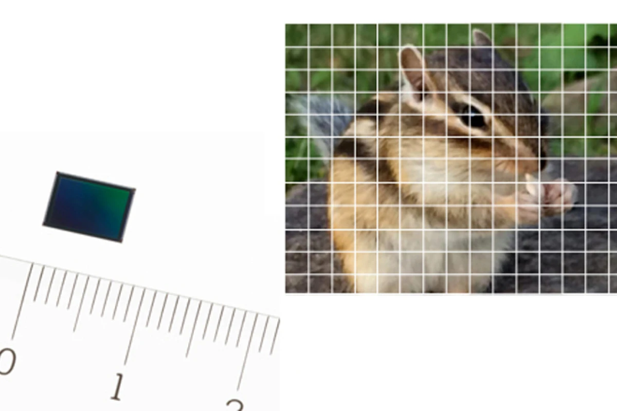 The Sony Exmor RS IMX230 can use up to 192 AF points to help when shooting fast-moving subjects